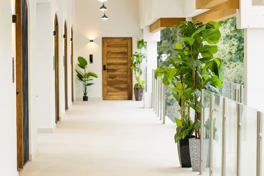 Imagen de Habitación